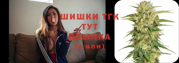 spice Зеленодольск