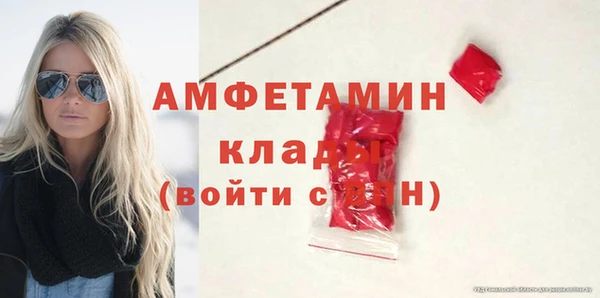 гидра Алексеевка