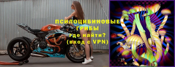 спайс Алексин