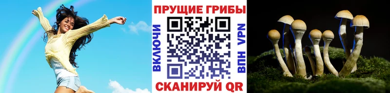Псилоцибиновые грибы MAGIC MUSHROOMS  mega ONION  Поронайск 
